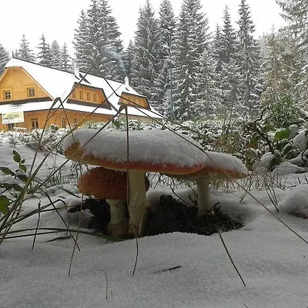 Hotel Koliba Gruniky *