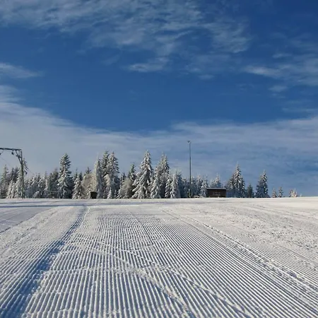 Hotel Koliba Gruniky *