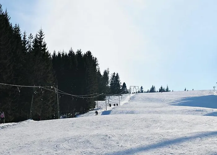 Hotel Koliba Gruniky *