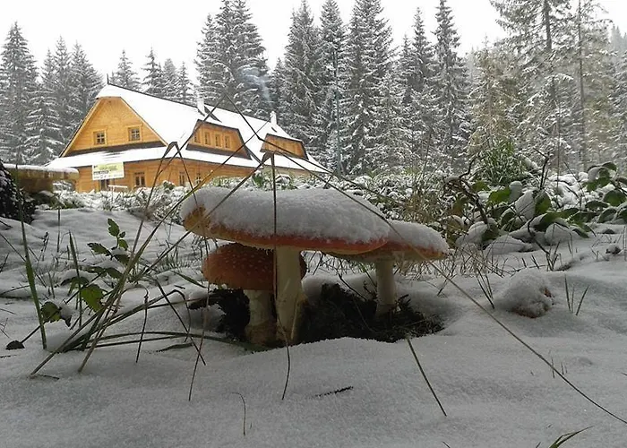 Hotel Koliba Gruniky *