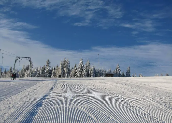 Hotel Koliba Gruniky *
