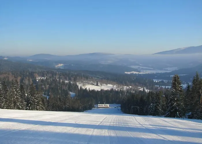 Hotel Koliba Gruniky *